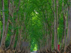 -南京维景国际大酒店(南京博物院店)