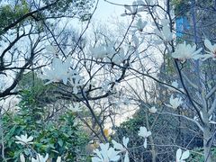 -乌山风景区