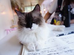 -灯塔咖啡馆BOOK·Coffee Shop
