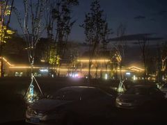 -邛海景风火盆烧烤(大石板古村二分店)