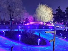 -莫子山公园