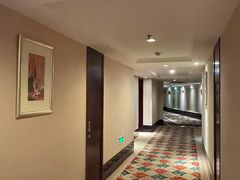 -张家港华芳金陵国际酒店