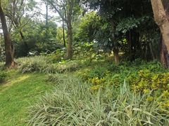 -东莞植物园