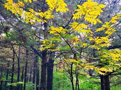 -昆嵛山石门里景区