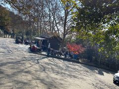 -紫金山山顶公园