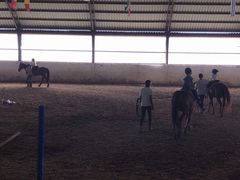 -月河湾马术俱乐部(朝阳店)