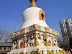 -护国法轮寺