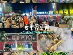 -盐禾堂海南屯昌香草鸭(海润路总店)