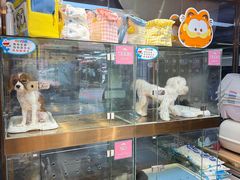 -FAELING PETS美天灵宠物(富力广场店)