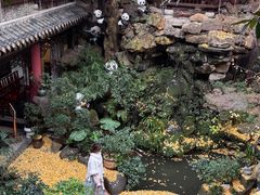 -钦善斋(武侯祠店)