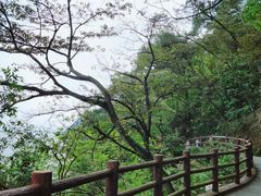 -羚羊峡古栈道森林公园