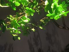 -唐宫足道·SPA·住宿24H会所(木渎店)