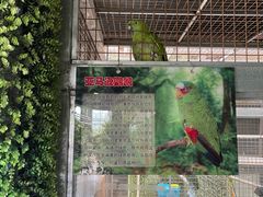 -武清南湖绿博园