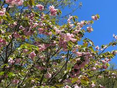 -云峰山自然风景区