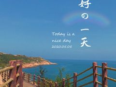 -广东惠东海龟国家级自然保护区