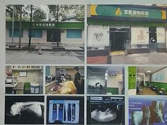 -半岛宠物医院24小时(科华中路店)