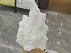 -野人先生现做冰淇淋(西安赛格店)