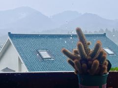 -马灯部落·西湖边的创意山景餐厅(虎跑动物园店)