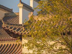 -八大山人梅湖景区