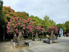 -杭州城北体育公园