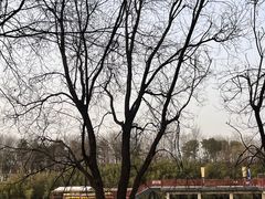 -西安汉城湖景区