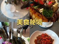 -洋湖国家湿地公园