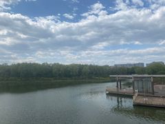 -大兴滨河森林公园