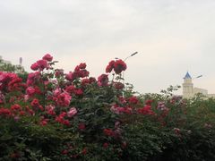 -林海公园