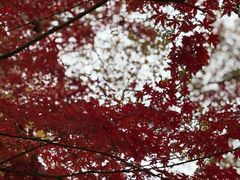 -星巴克(西湖天地店)