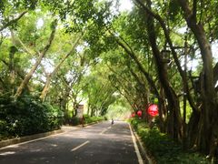 -大屏嶂森林公园