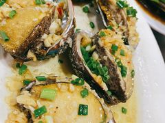 鲍鱼-岛中岛·海鲜大排档·万宁老字号(东澳店)