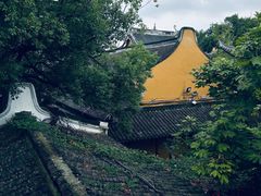 -龙华素斋(龙华路店)