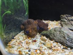 -上海海洋水族馆