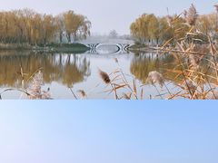 -大兴滨河森林公园