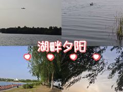 -丁香湖公园