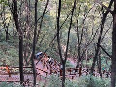 -大岭沟猕猴桃谷风景区