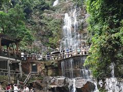 -鼎湖山风景区