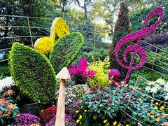 -杭州植物园