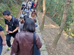 -灵顺寺