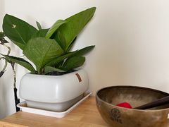 -瑶舍头疗·瑶浴·芳香热石SPA(五洲国际店)