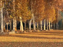 -河南省黄河迎宾馆