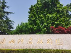 -铁山坪森林公园