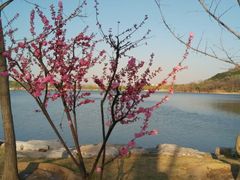android_upload_pic-北京宽沟会议中心
