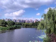 -新江湾城公园