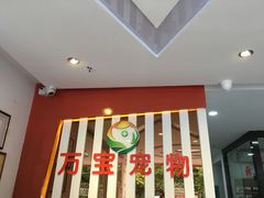 -创凡宠物医院·骨专科  猫科中心(西乡分院)