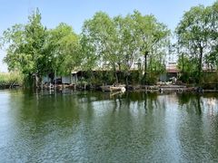 -白洋淀风景区
