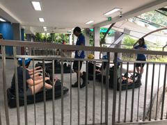 -圣淘沙天际线斜坡滑车