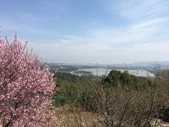 -香雪海