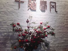 -十面春风·江南面馆(崇宁路店)