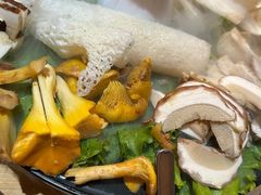 野生菌拼盘-束河人家(南锣鼓巷店)